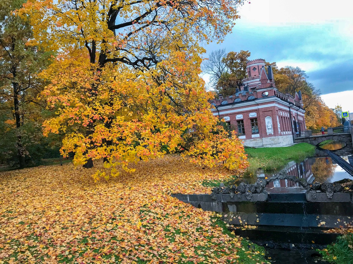 Mùa Thu nước Nga trong ánh sáng kỳ diệu ảnh 29