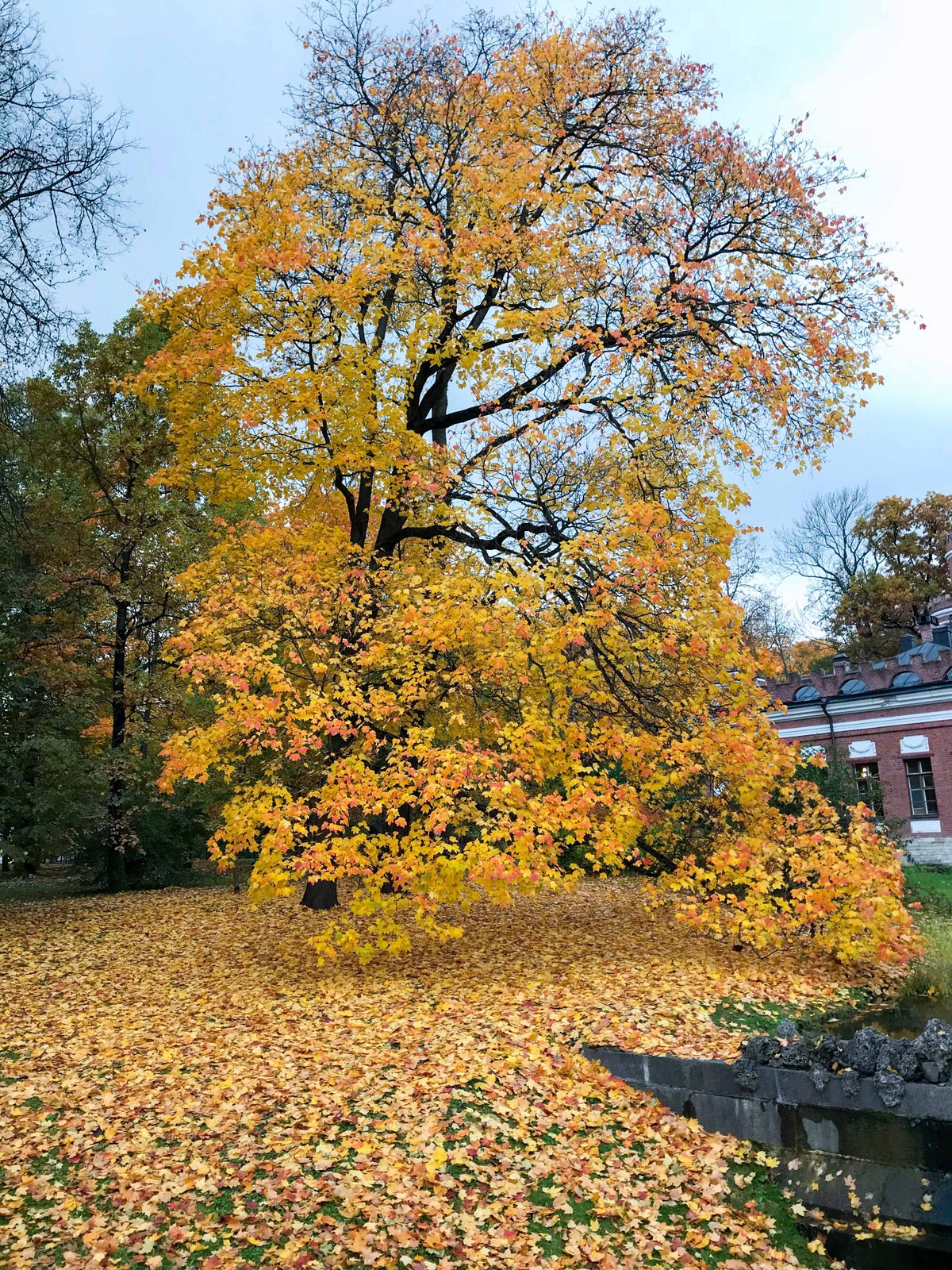 Mùa Thu nước Nga trong ánh sáng kỳ diệu ảnh 30