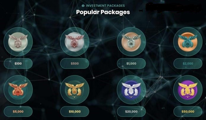 Bộ Công an cảnh báo rủi ro khi đầu tư tiền vào Công ty Tài chính ERG ảnh 2