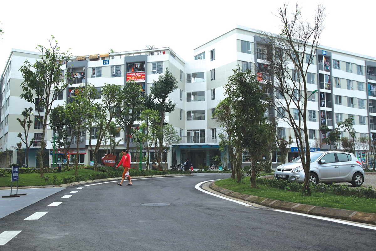 Người mua nhà lại phấp phỏng giấc mơ con ảnh 2