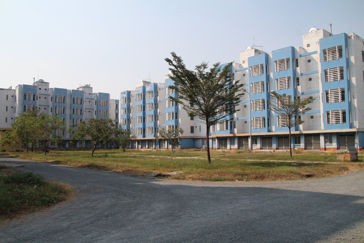 Tiếng thở dài sau những cuộc di cư ảnh 1