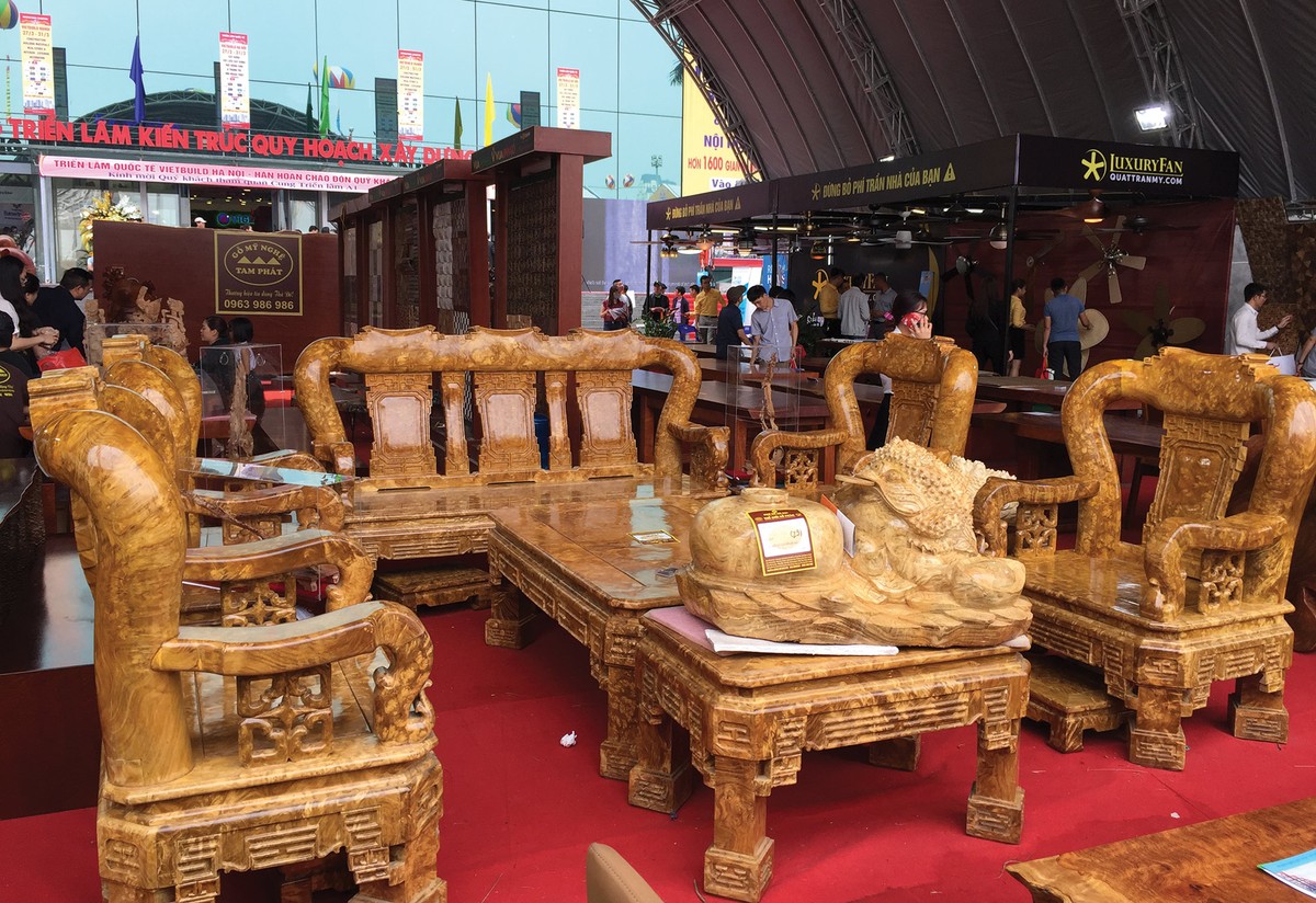 Ngành gỗ Việt Nam, hành động sớm để không bị vạ lây ảnh 1