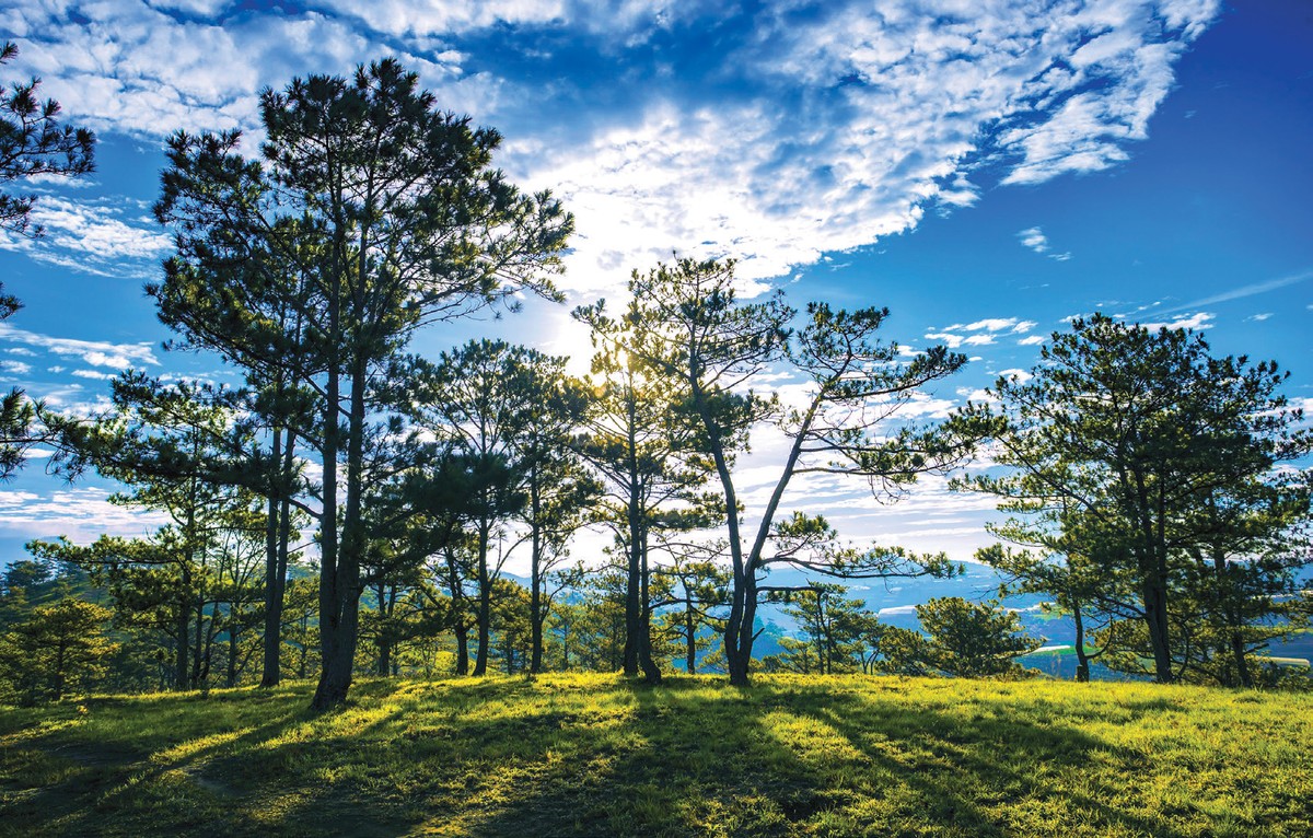 Để doanh nghiệp phát triển bền vững: Chuyên gia tài chính, kế toán cũng phải có trách nhiệm ảnh 2