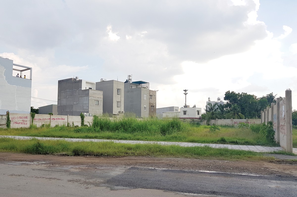 Dự án ma, những cảnh báo nhãn tiền ảnh 1