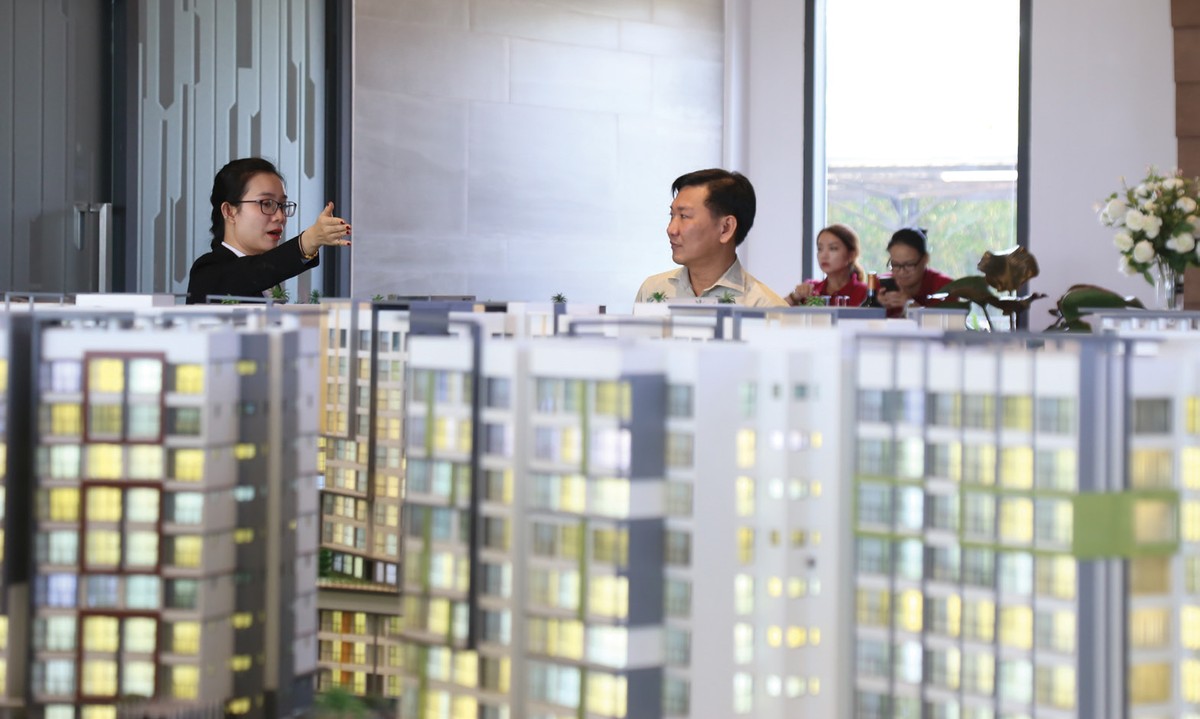 Cuối năm, bất động sản phía Nam lại tái diễn cảnh “treo dê bán chó” ảnh 1