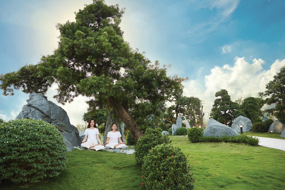 Thị trường bất động sản 2019: “Tiết cung” ảnh 6