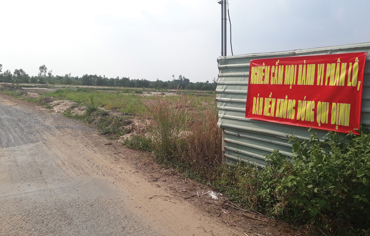 Năm 2020, đất nền ven TP.HCM sẽ bớt nóng ảnh 1