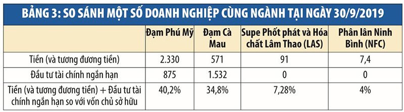 Đạm Phú Mỹ (DPM): Khối tiền ngàn tỷ đồng “ngủ quên” ảnh 3