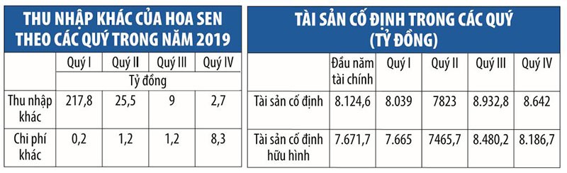 Tập đoàn Hoa Sen (HSG) và ẩn số thu nhập khác ảnh 1