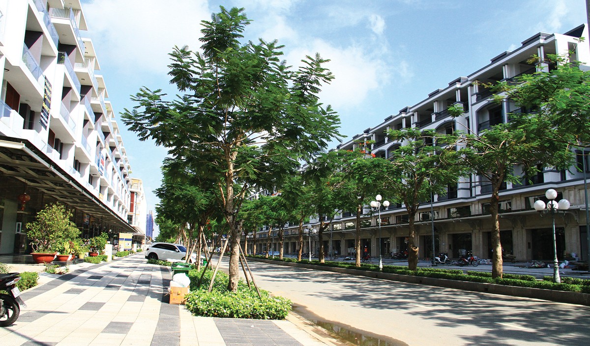 Quý IV/2019: Chung cư, nhà đất tăng giá ảnh 1