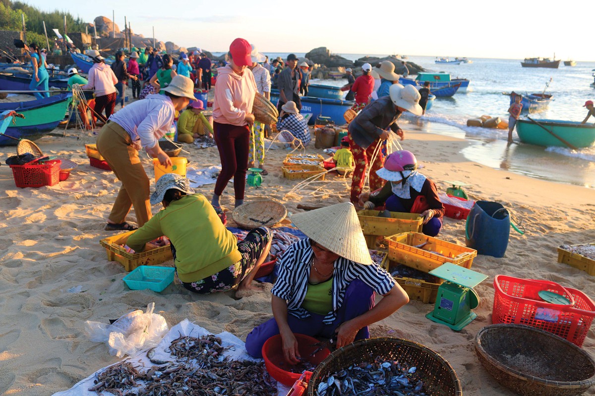 Hừng đông trên làng chài ​Phước Đồng ảnh 3