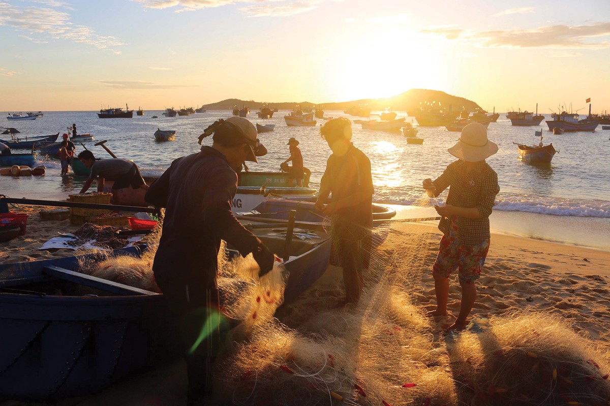 Hừng đông trên làng chài ​Phước Đồng ảnh 5