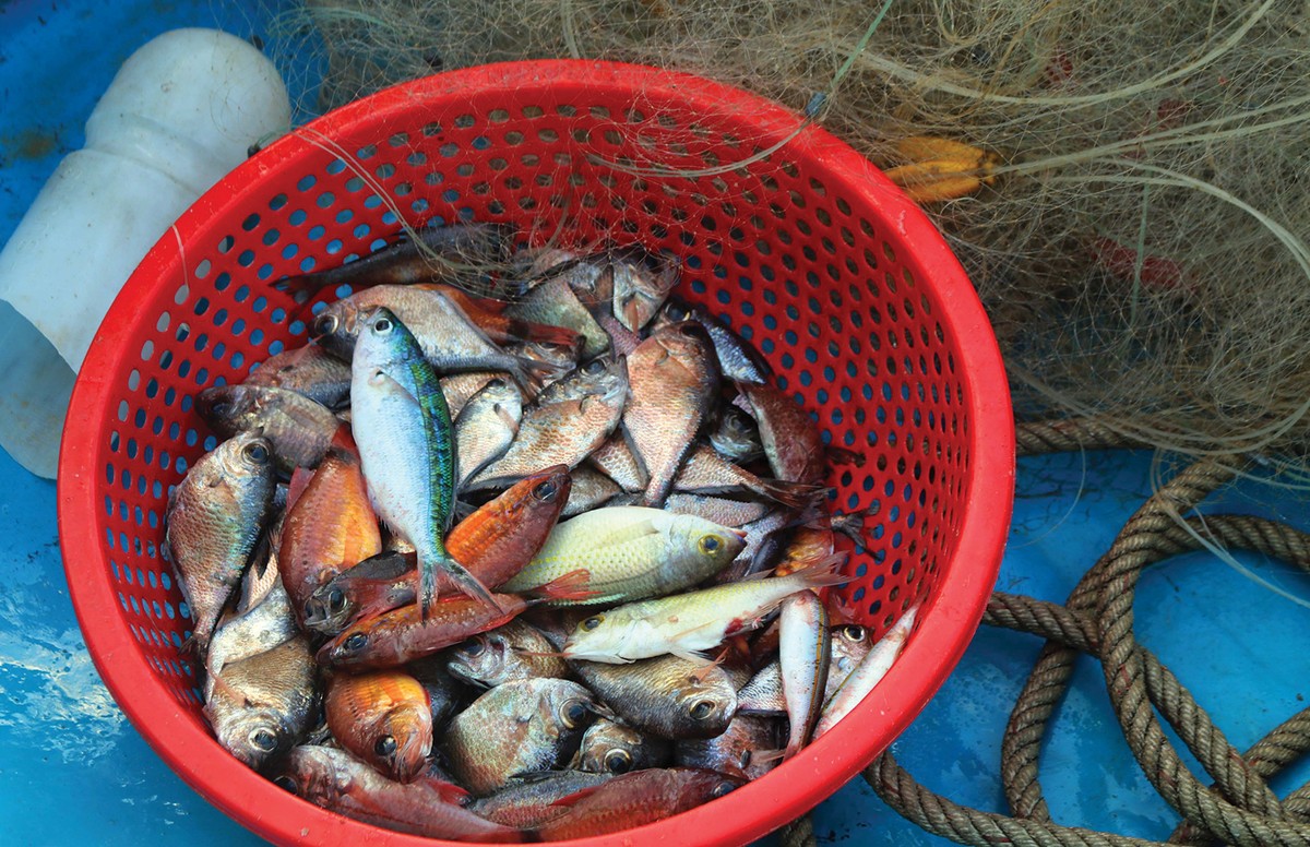 Hừng đông trên làng chài ​Phước Đồng ảnh 6