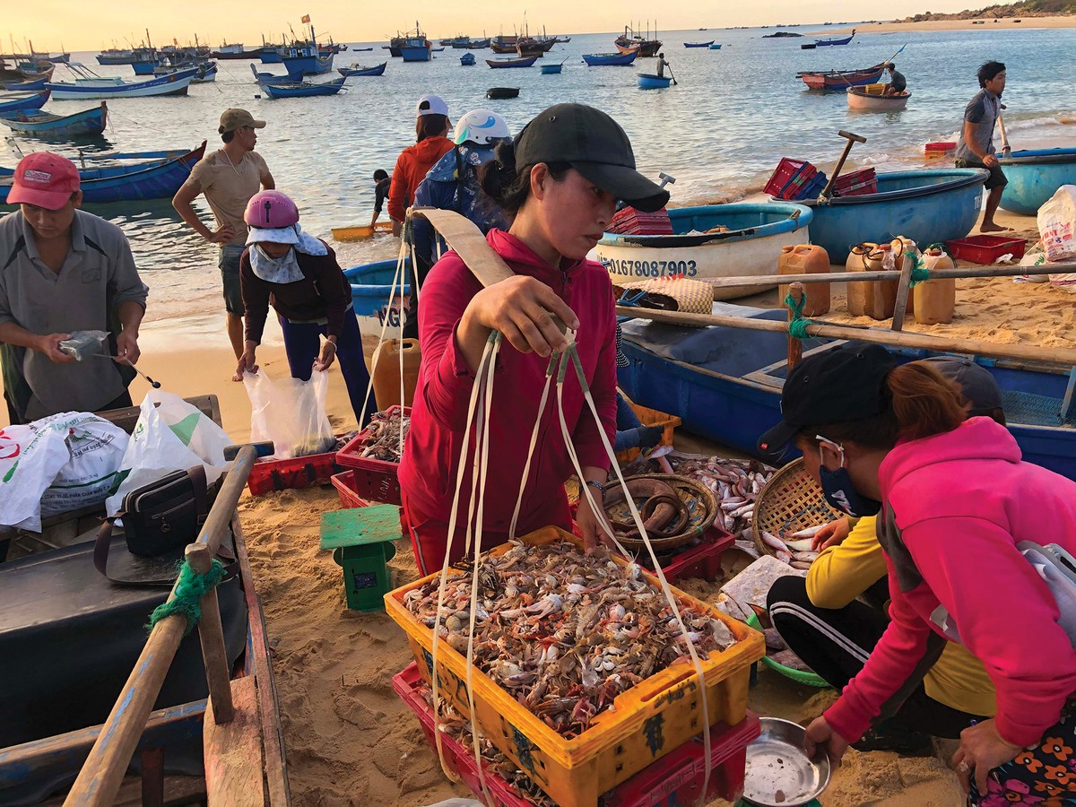 Hừng đông trên làng chài ​Phước Đồng ảnh 7