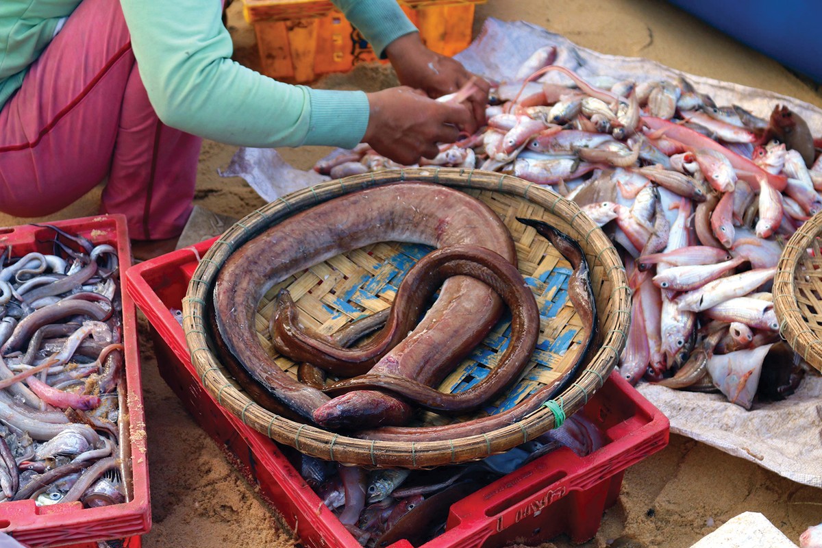 Hừng đông trên làng chài ​Phước Đồng ảnh 8