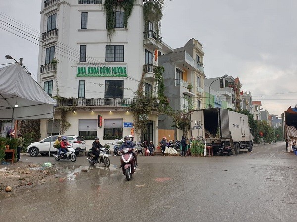 Nhộn nhịp Chợ hoa Lũng những ngày giáp Tết ảnh 4