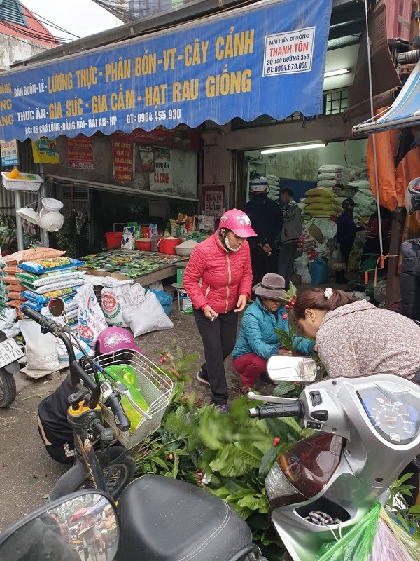 Nhộn nhịp Chợ hoa Lũng những ngày giáp Tết ảnh 6