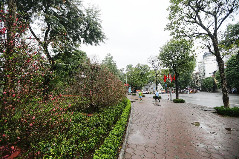 Hà Nội sớm đầu năm Canh tý 2020 ảnh 4