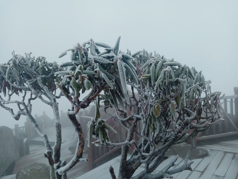 Băng phủ trắng Fansipan đúng ngày khai hội lễ hội khèn hoa 2020 ảnh 7