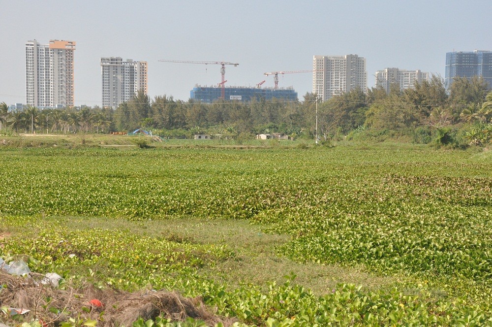 Đà Nẵng thúc tiến độ dự án khơi thông sông Cổ Cò ảnh 1