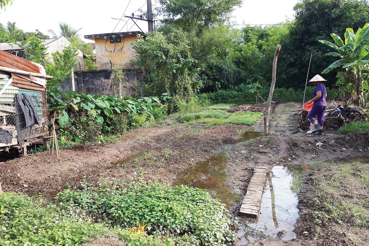 Mua bán trái phép đất xen kẹt: Chế tài mới vẫn khó dẹp ảnh 1