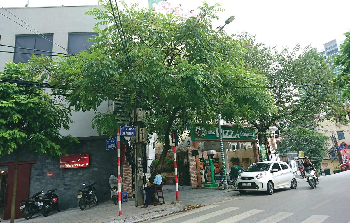 Sống bên cạnh những ý thức quá hồn nhiên ảnh 1