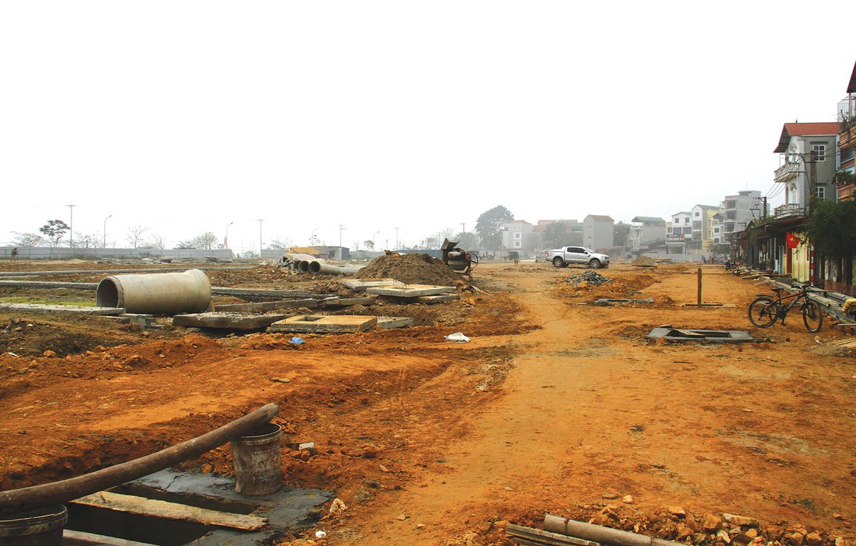 Đất nền miễn nhiễm với Covid-19 ảnh 1