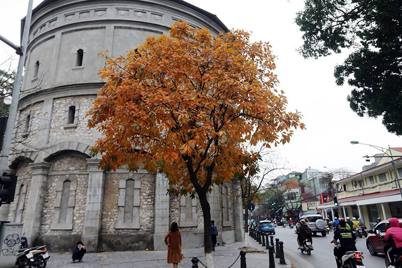 Nhịp sống Hà Nội ngày đầu ghi nhận ca dương tính với Covid-19 ảnh 6