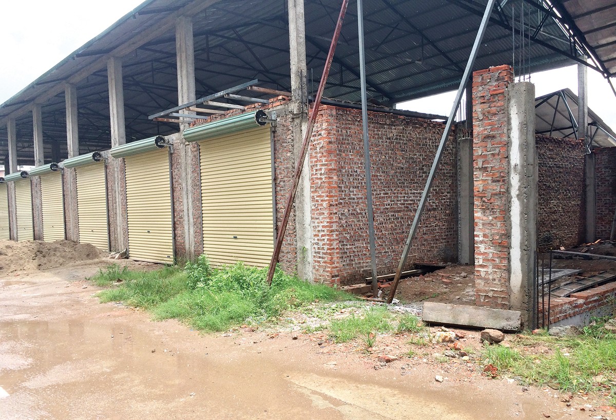 Hà Nội quyết liệt xử lý sai phạm trên đất nông nghiệp ảnh 1