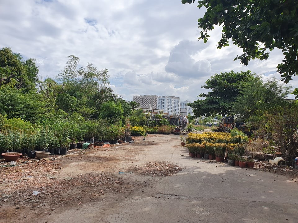 Dự án Prosper Phố Đông: Chính quyền địa phương khẳng định không cấp phép ảnh 1