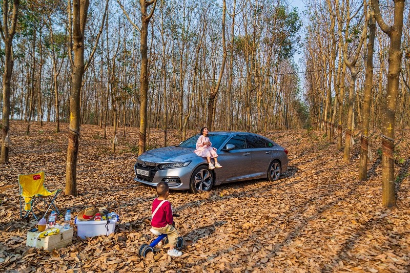 Bất ngờ khi roadtrip cùng sedan ảnh 3