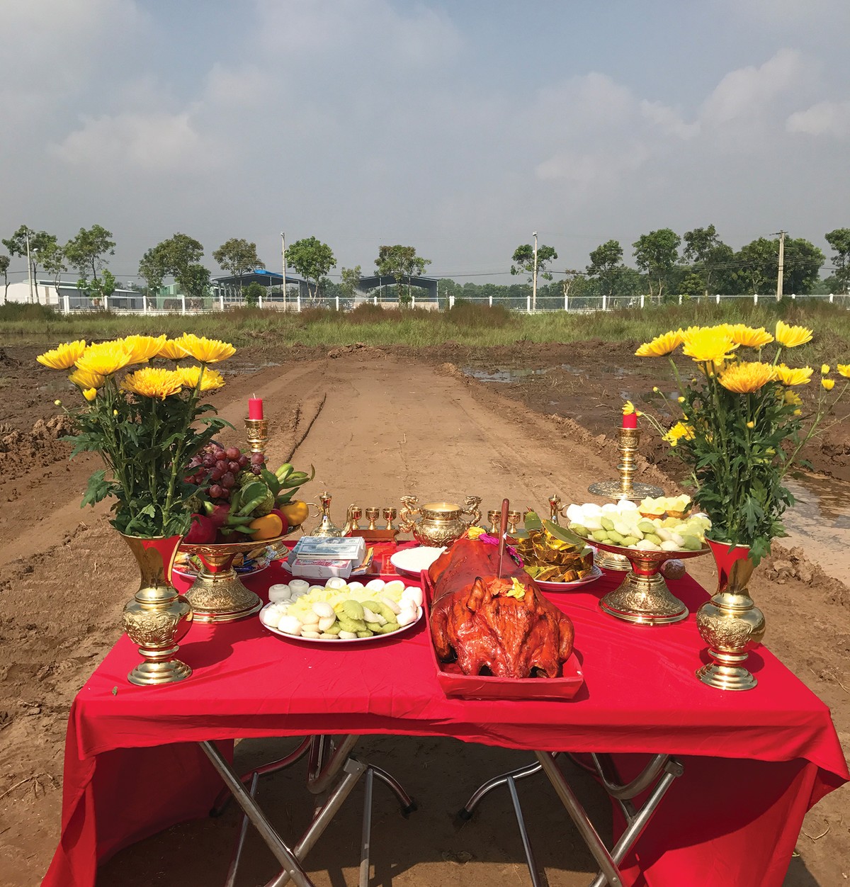 Những lưu ý khi mượn tuổi động thổ ảnh 1