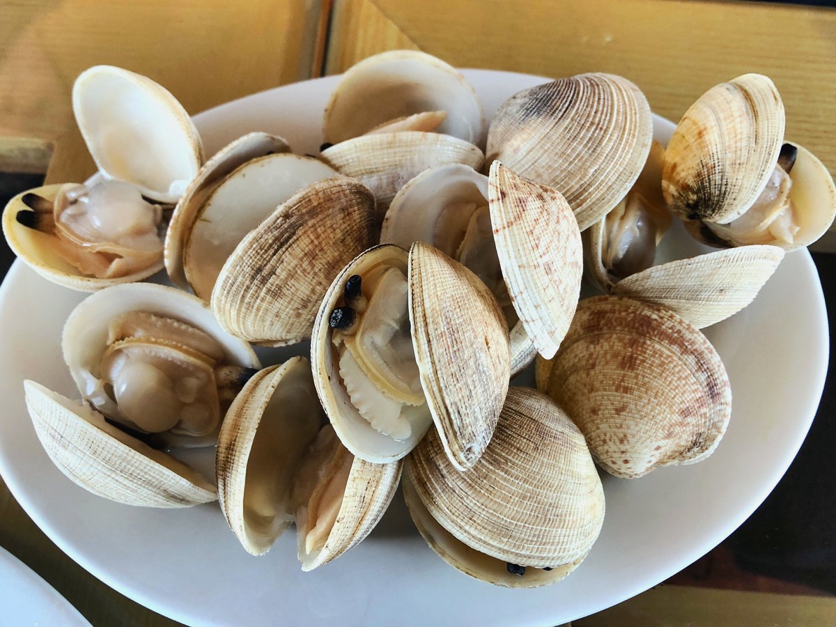 Cát Bà ốc đảo thần tiên ảnh 5