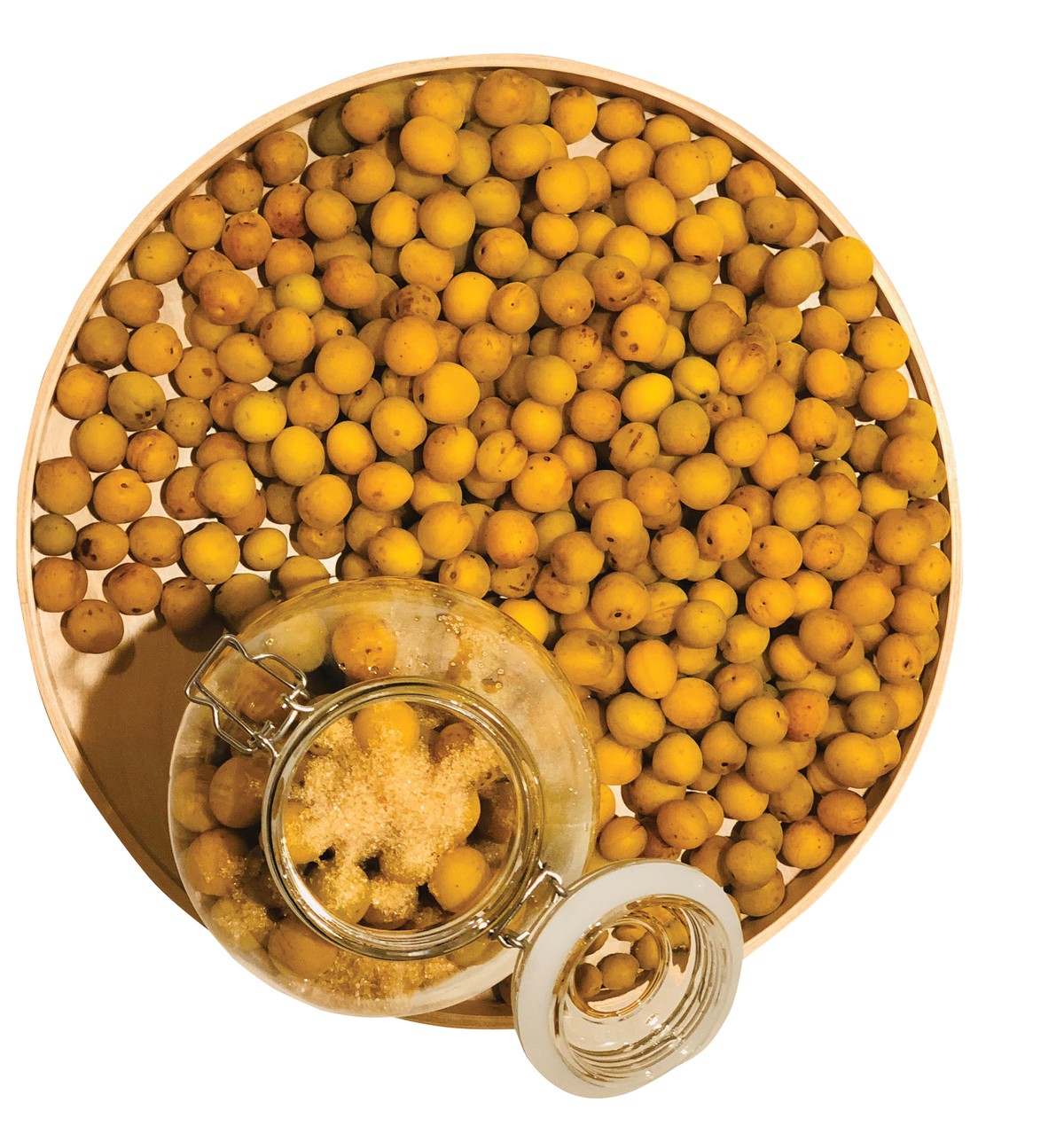 Mơ Mộc Châu ơi, xin mùa đừng qua vội ảnh 2