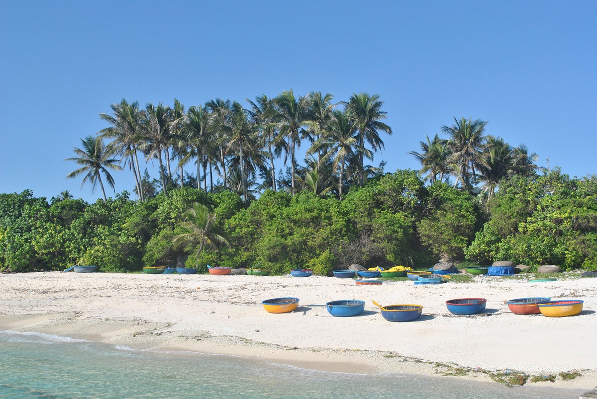 Lý Sơn không chỉ có… tỏi ảnh 5