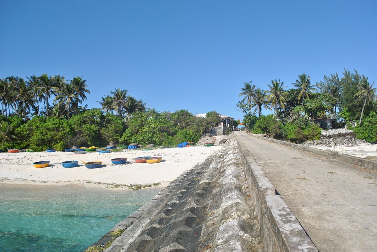 Lý Sơn không chỉ có… tỏi ảnh 6