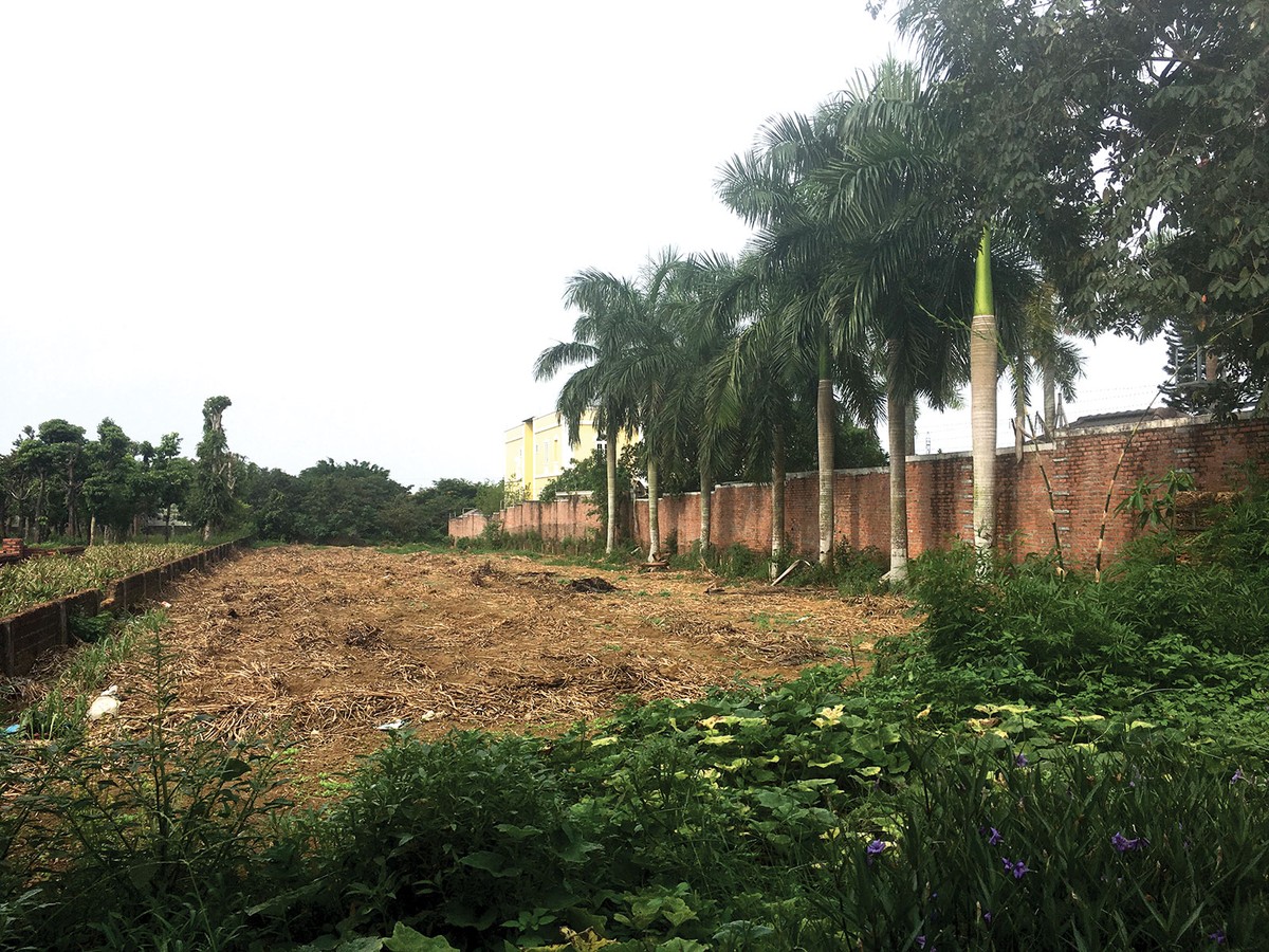 Nhà đầu tư kẹt hơn 10 năm với đất nền Lương Sơn, Hòa Bình ảnh 1