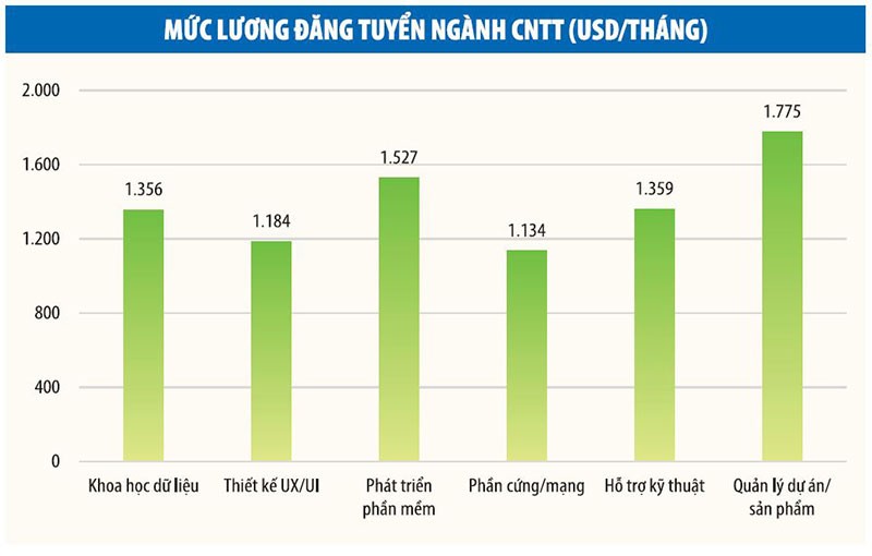 Kỹ sư phần mềm được trải thảm đỏ, trả lương khủng ảnh 1