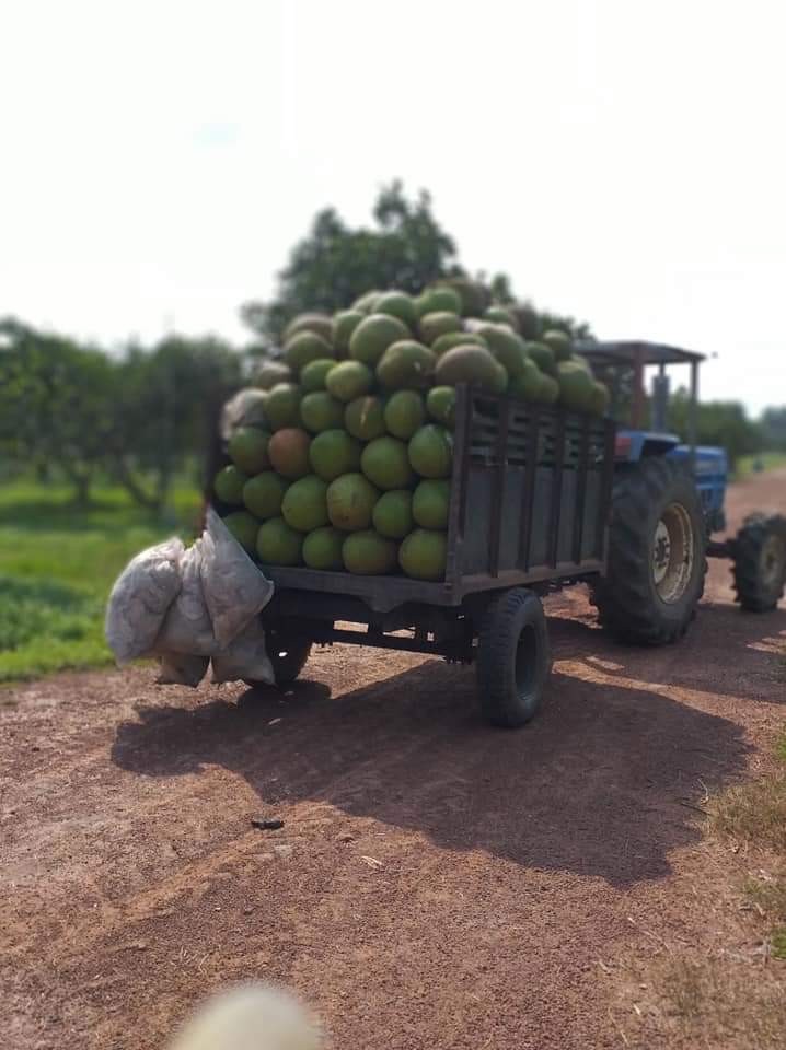Có không mưu toan xoá sổ nông trại đạt chuẩn quốc tế của Vinamit để phân lô bán nền? ảnh 2