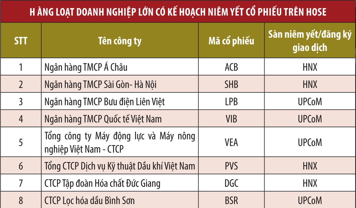 HNX tự coi mình là... “bà đỡ“ ảnh 1