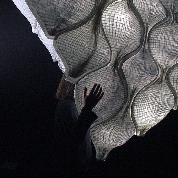 Lexus ủng hộ các nhà sáng tạo của thế hệ tương lai trên nền tảng trực tuyến ảnh 2