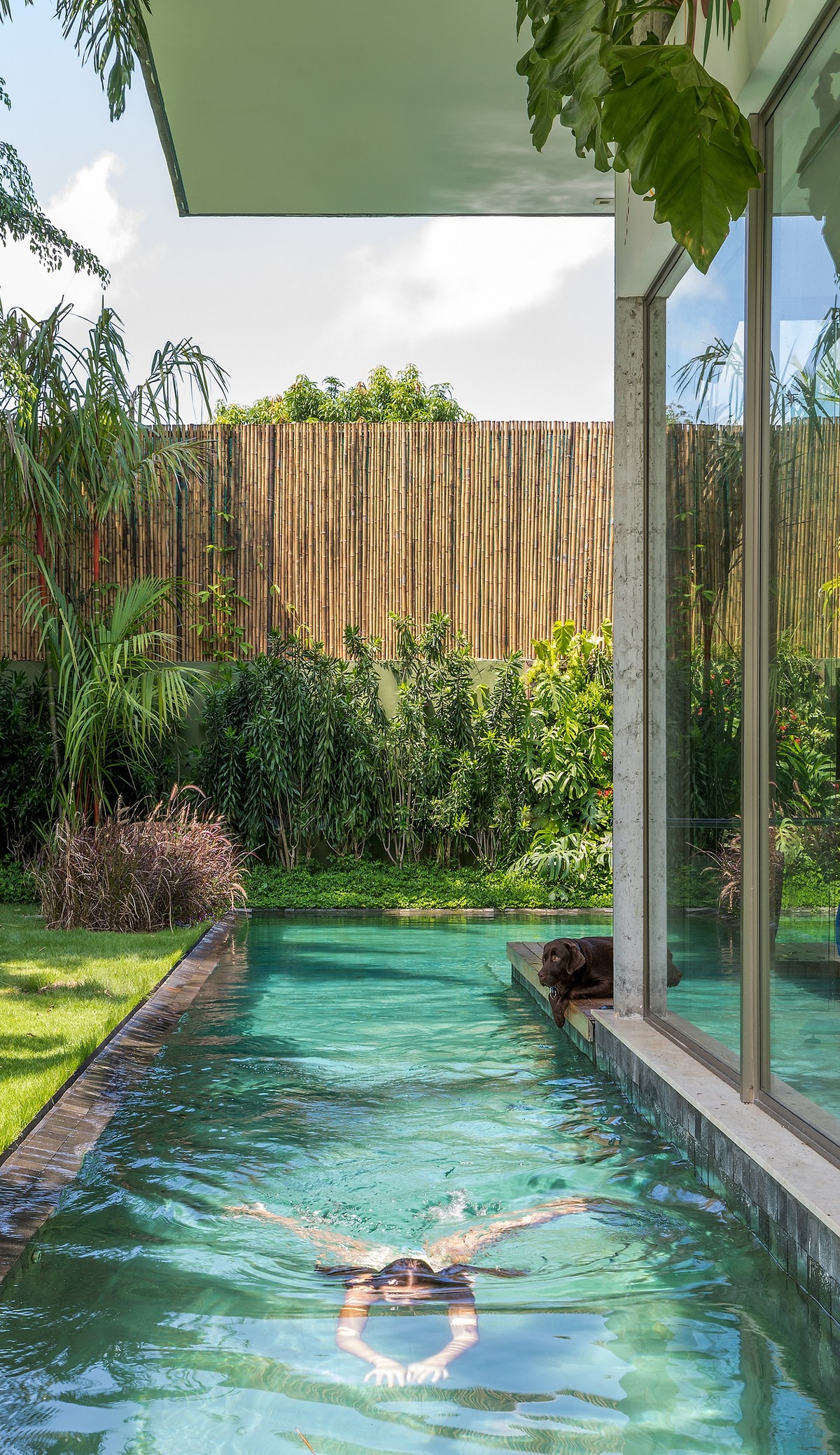 Casa RC House: Sống giữa rừng xanh ảnh 7