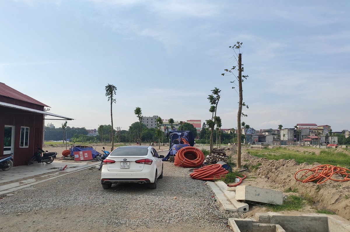 Bắc Ninh, nhiều phiên đấu thầu đất… giá rẻ bất ngờ ảnh 1