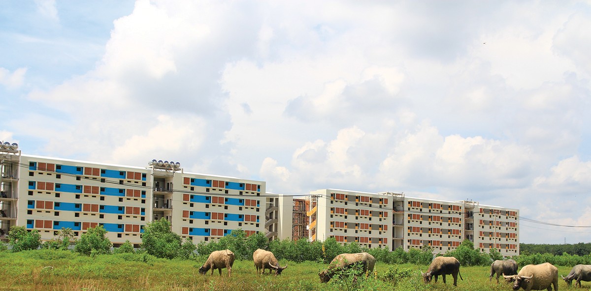 Nghịch lý bất động sản vùng ven ảnh 1