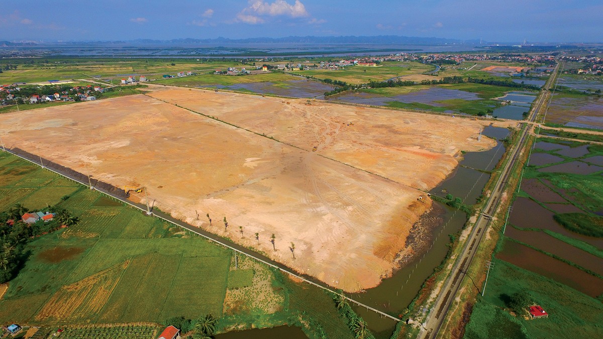 “Sếu lớn” đang về Quảng Ninh ảnh 1