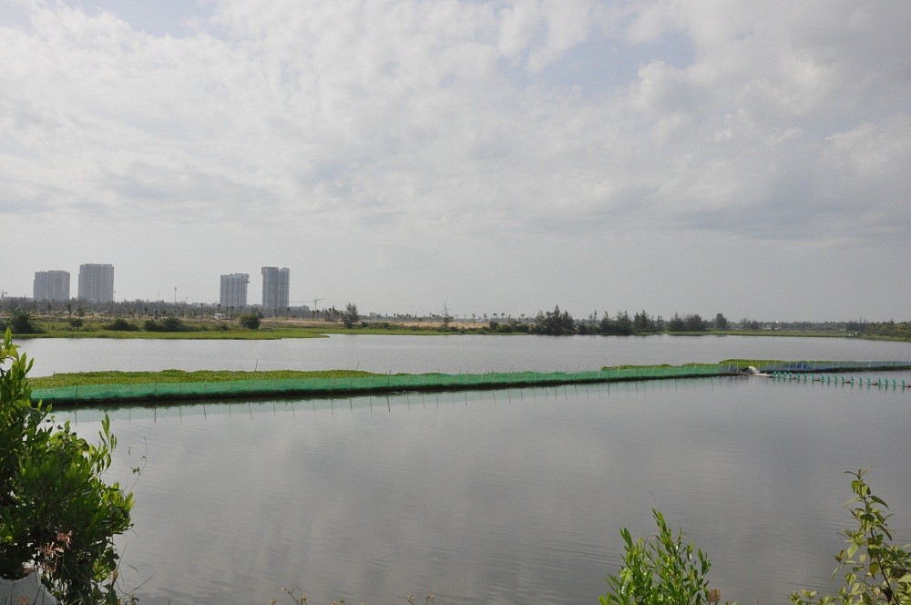 Đầu tư tuần qua: Hơn 1.400 tỷ xây dựng cảng biển Cà Ná và cơ chế cho Khu kinh tế Vân Phong ảnh 11