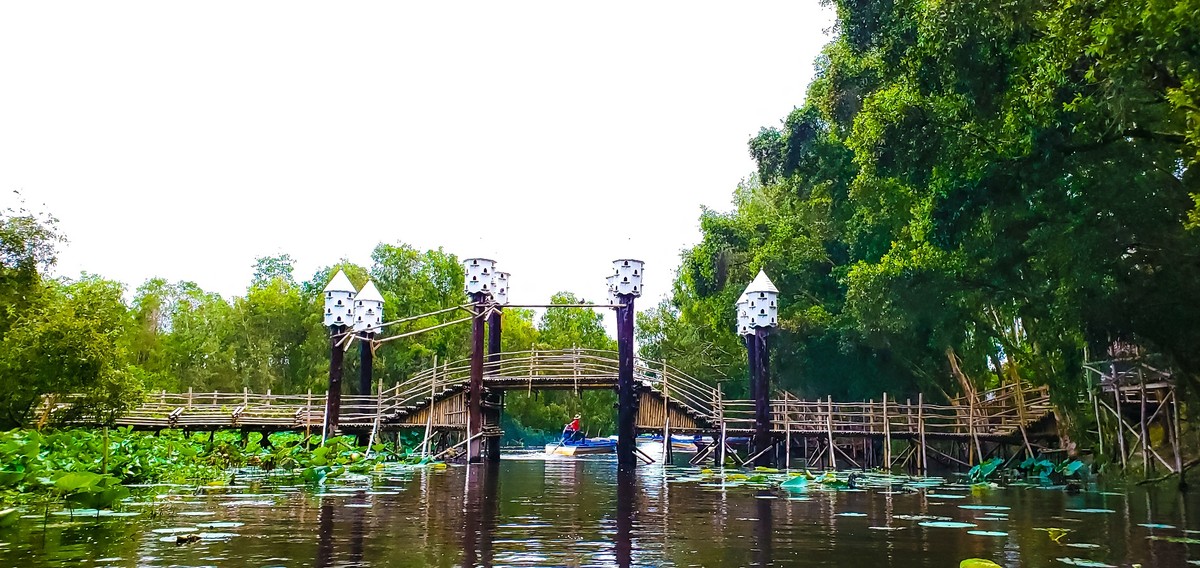 Đoạn đầu tiên của “Cầu tre vạn bước” bắt nhịp từ bến tàu đến cổng.