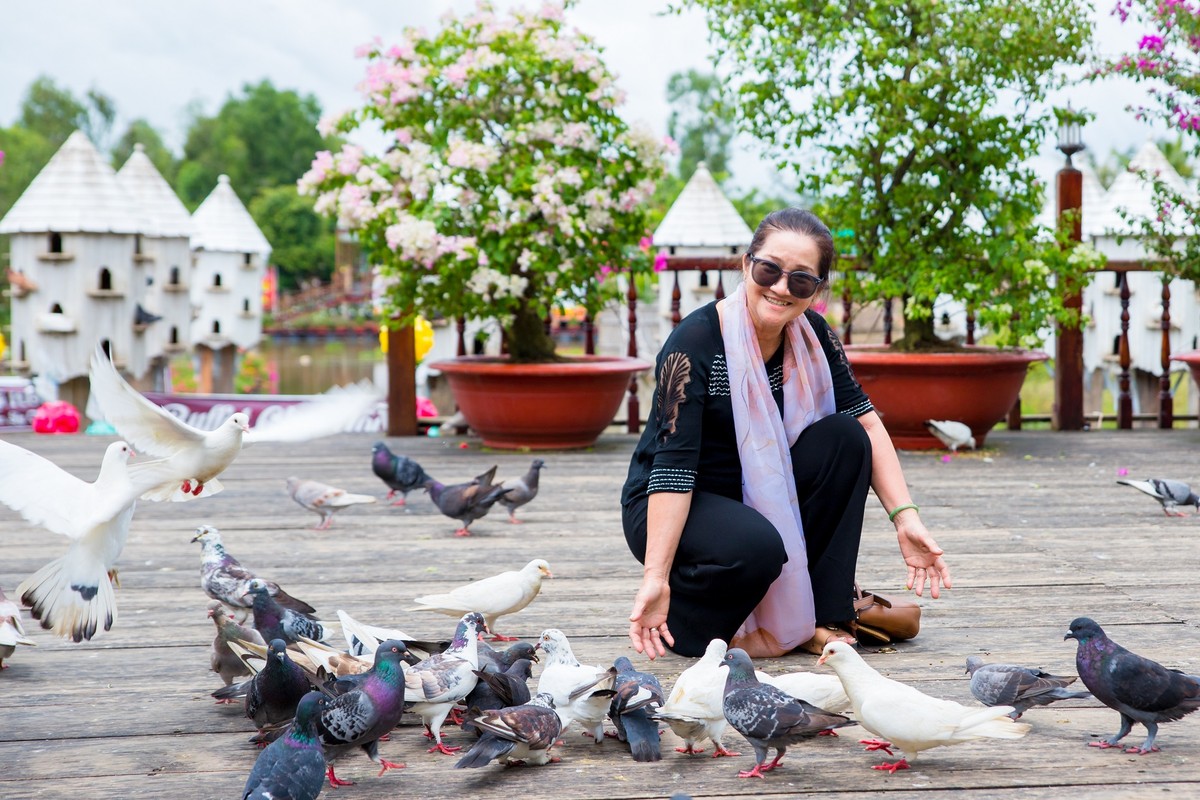 Bến thuyền với background tổ chim bồ câu.