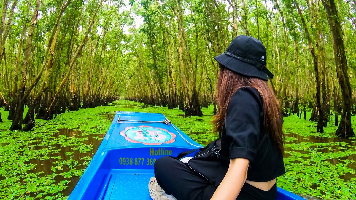 Còn gì vui thú hơn ngồi tắc ráng xuyên rừng, tận mắt ngắm nhìn rừng tràm bí ẩn trải rộng, những đốm bèo xanh ngắt….