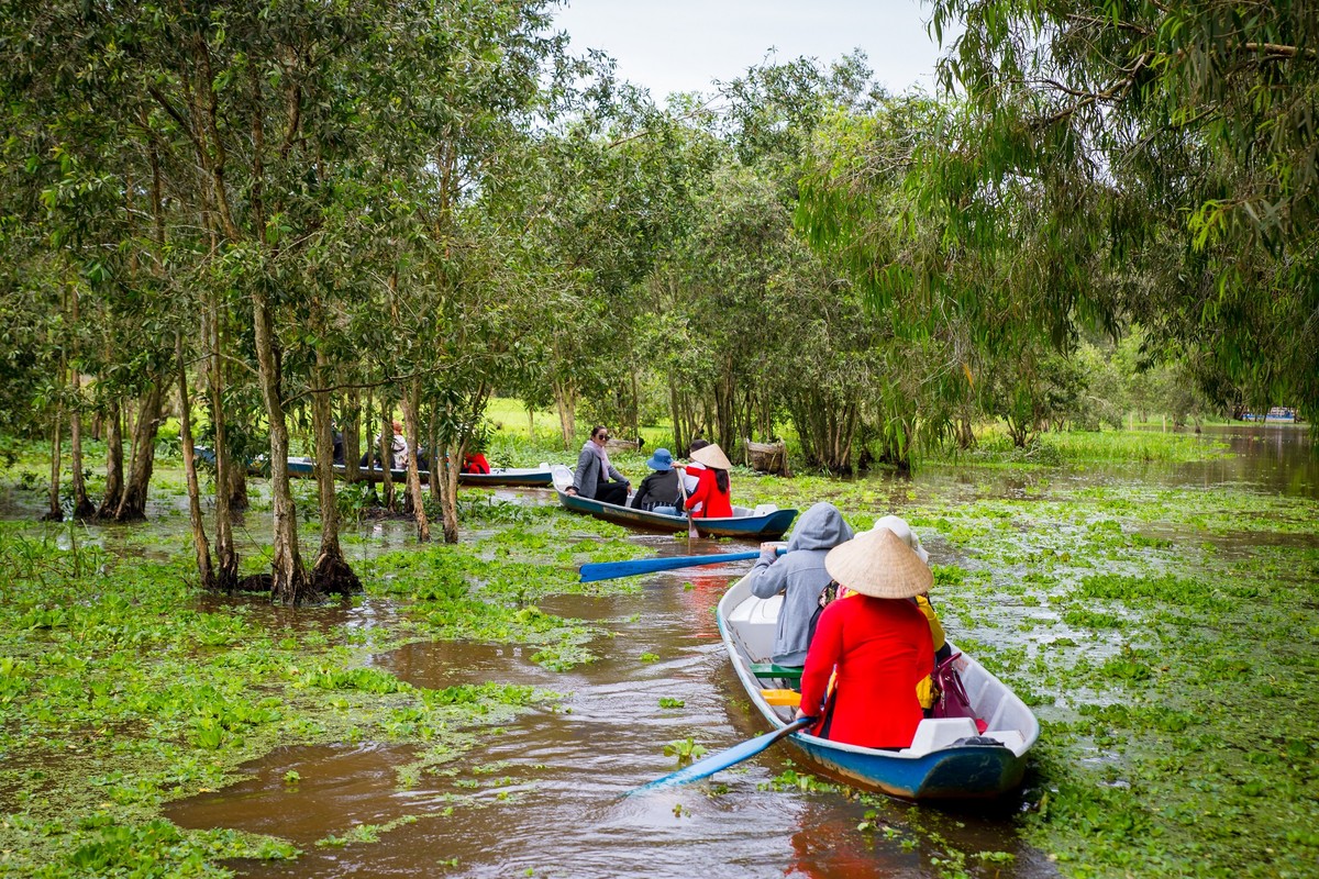 …len lỏi vào khu rừng tràm tĩnh lặng